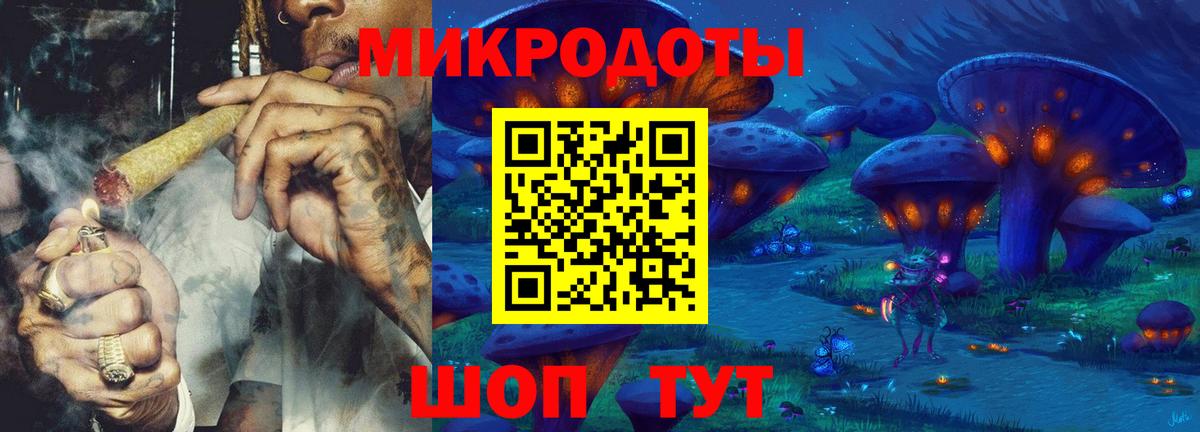 Галлюциногенные грибы Psilocybe Кизилюрт