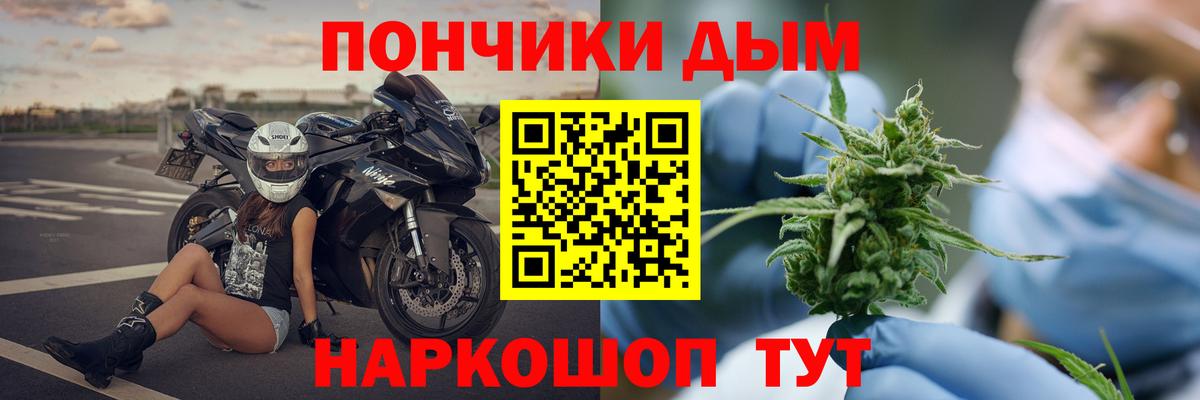 Бошки Шишки планчик Кизилюрт